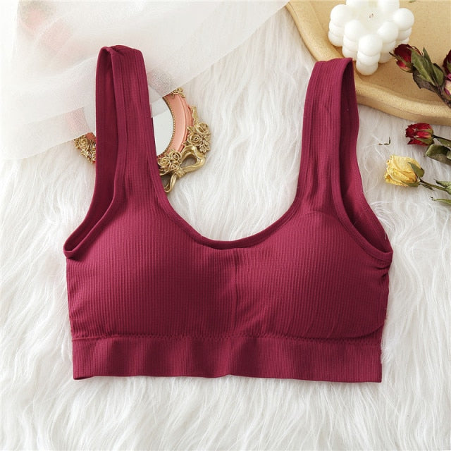 Women Sexy Padded Bras | Women Top Bra | Solid Color Padded Bra | Cami Bra | Streetwear Bra Top | Off Shoulder Bra Tops | Seamless Crop Top